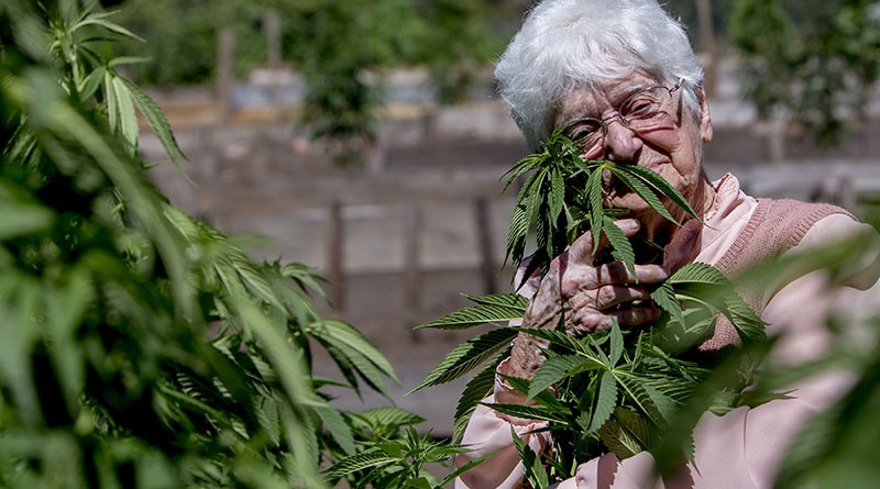 herb.co